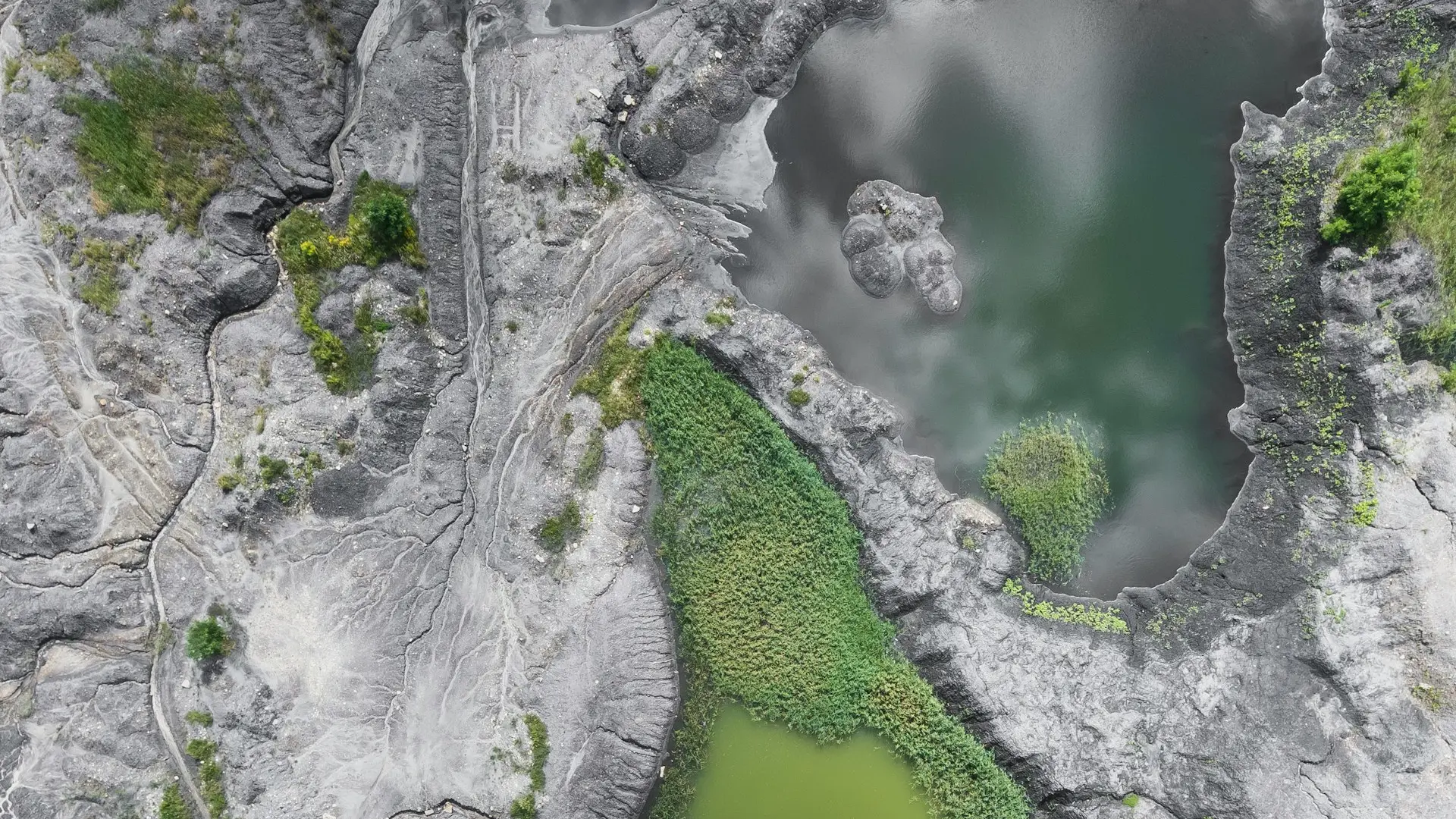bird's eye photo of mountain surrounded by trees